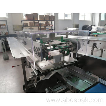 SUS 304 Flow Multi-Function Pouch Packing machine